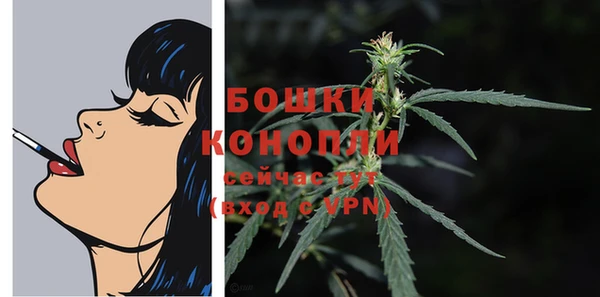 амф Богданович