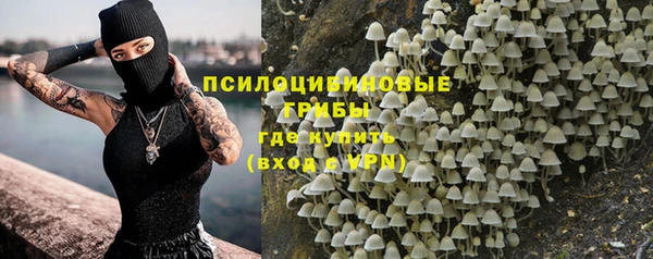 амф Богородск