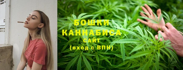 амф Богородск