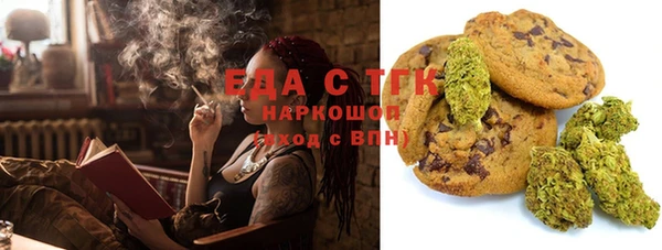 стаф Аркадак