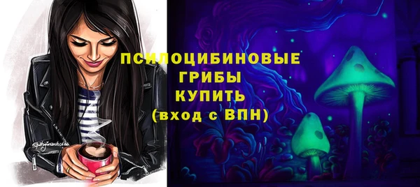 амф Богданович