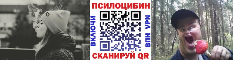 где найти наркотики  Суворов  Галлюциногенные грибы GOLDEN TEACHER 